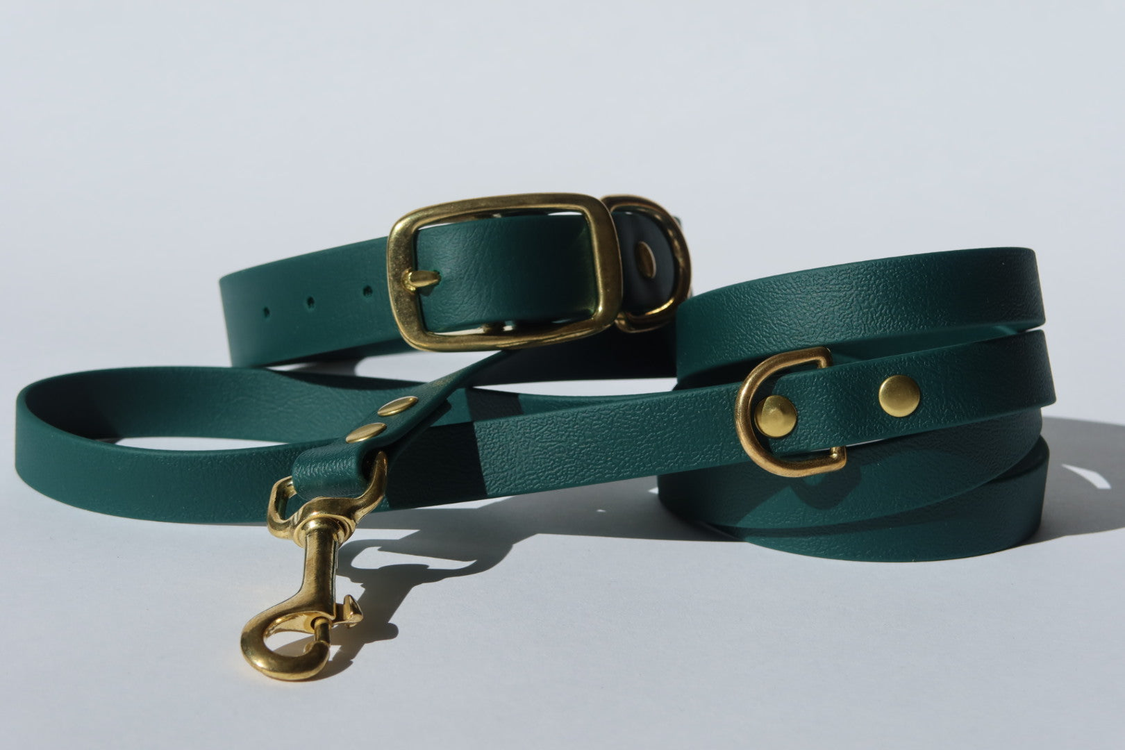 Vier Lijnen voor Avontuurlijke Honden bij Ivy's Paws!