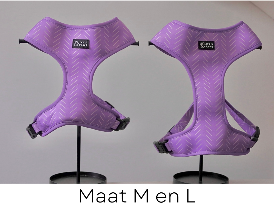 Lavender | Reversible harness